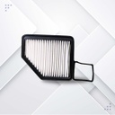 FILTRO DE AIRE (GM)