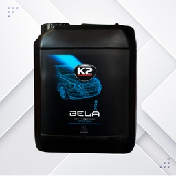 [D0105] SHAMPOO ESPUMA IND. PARA MAQUINA ARANDANO BELA PRO 5L